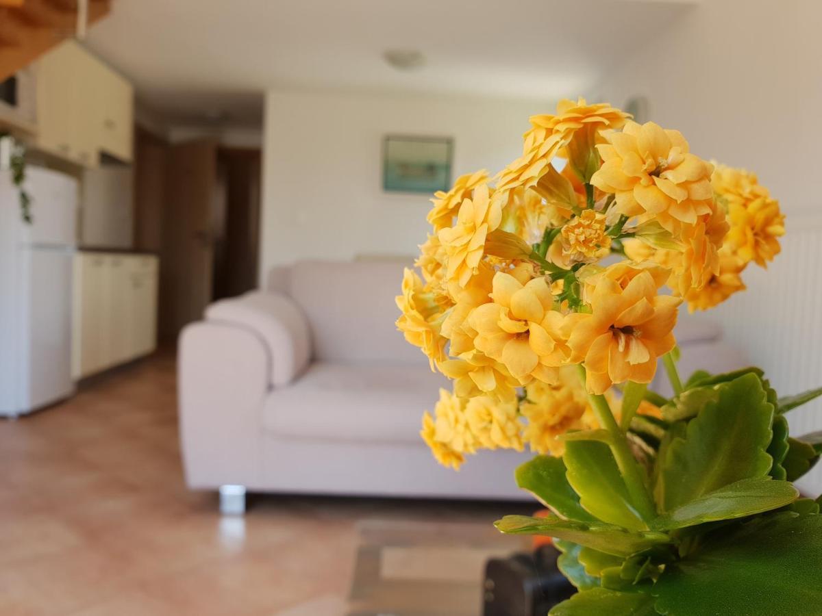 Apartments Skocic Водице Екстер'єр фото