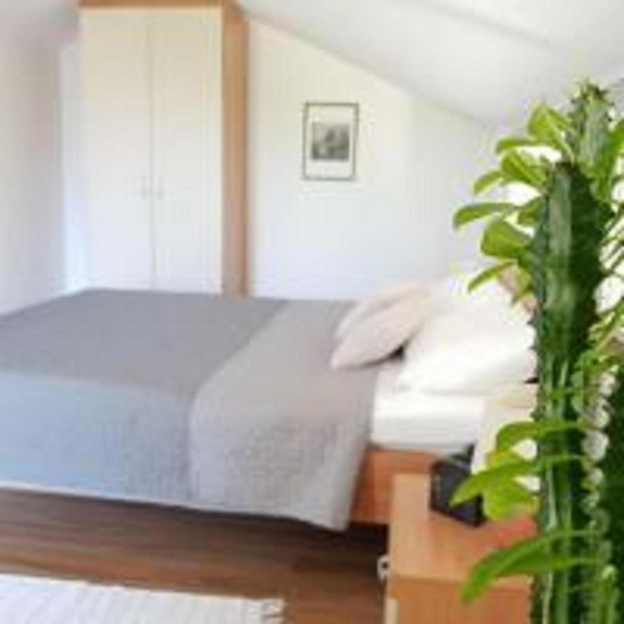 Apartments Skocic Водице Екстер'єр фото